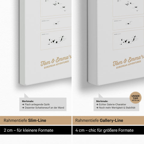 Europa-carte à épingles TRAVEL® – Light Black (Blanc-noir)