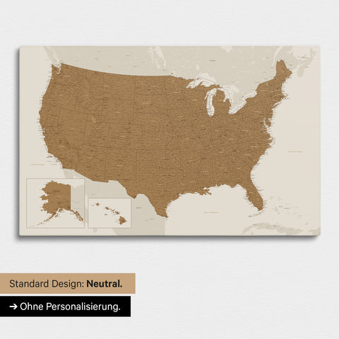 Neutral and simple version of a USA America map as a Push Pin Map in bronze