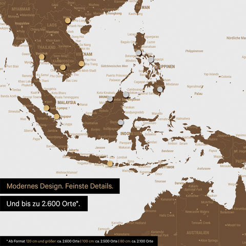 Détail d'une carte du monde magnétique marron montrant la carte de l'Asie, sur laquelle des aimants marquent des destinations de voyage