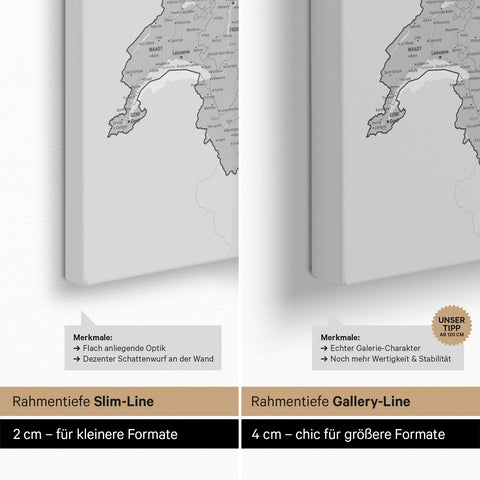Carte DACH TRAVEL® Carte à épingles – Coolgray (Gris clair)