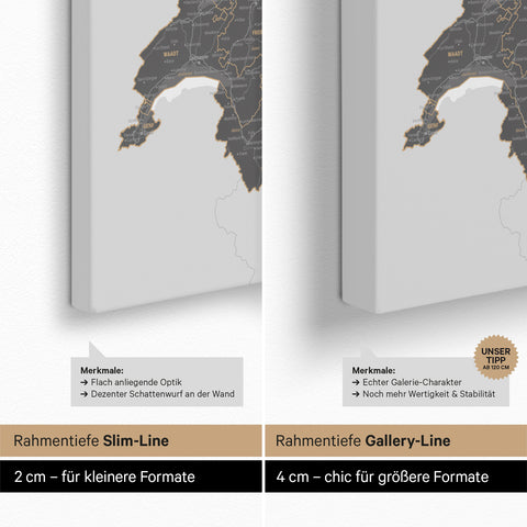 Carte DACH TRAVEL® Carte à épingles – Gris clair (Blanc-Gris)