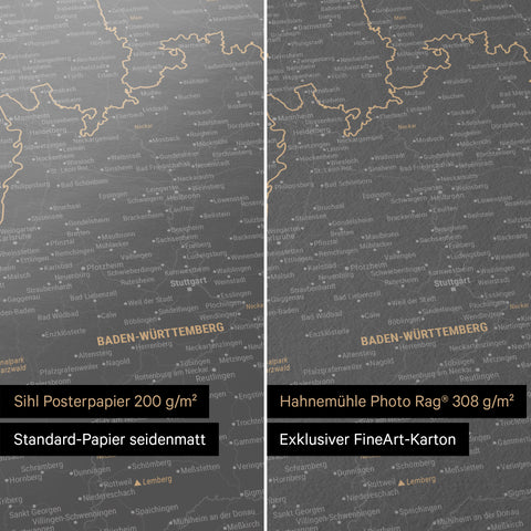 Carte d'Allemagne TRAVEL® Poster Premium – Gris Clair