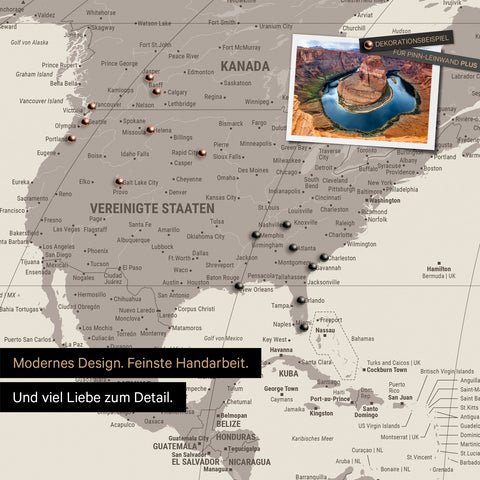 Weltkarte in der Equal-Earth-Projektion als Pinnwand in der Farbe  Warmgray (Braun-Grau), auf der Reiseziele in den USA und Kanada mit Pins markiert sind