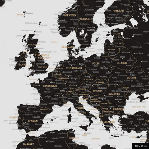 A detailed section of a world map pinboard in Light Black color shows a section of Europe with all countries and capitals.